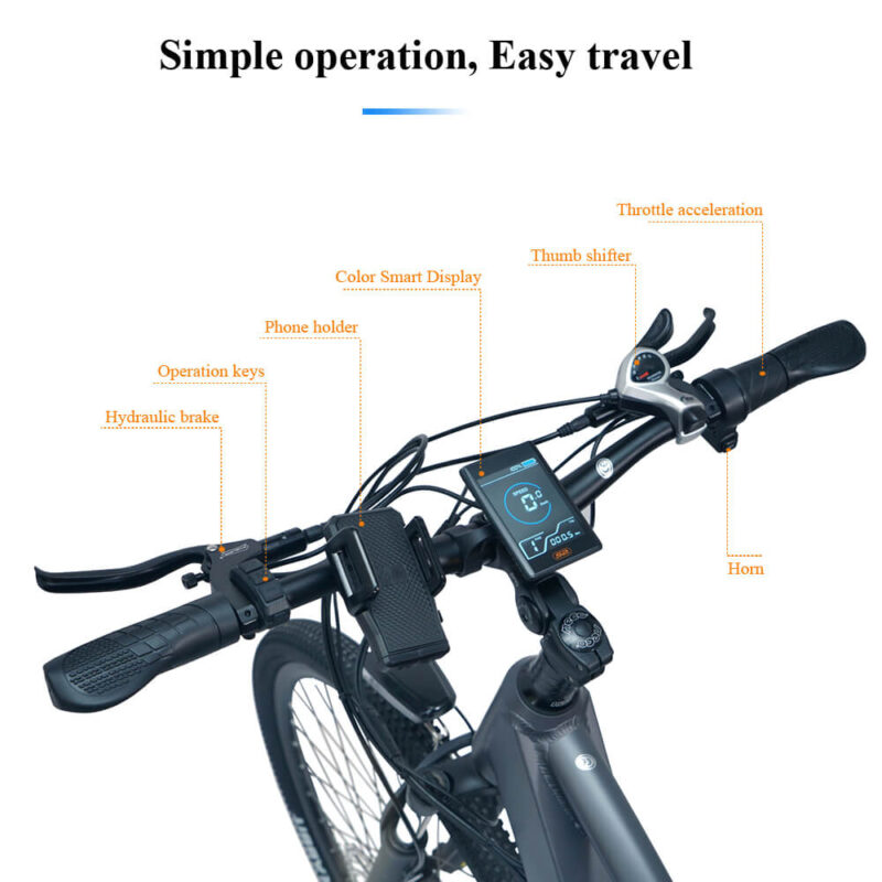 color lcd electric bike